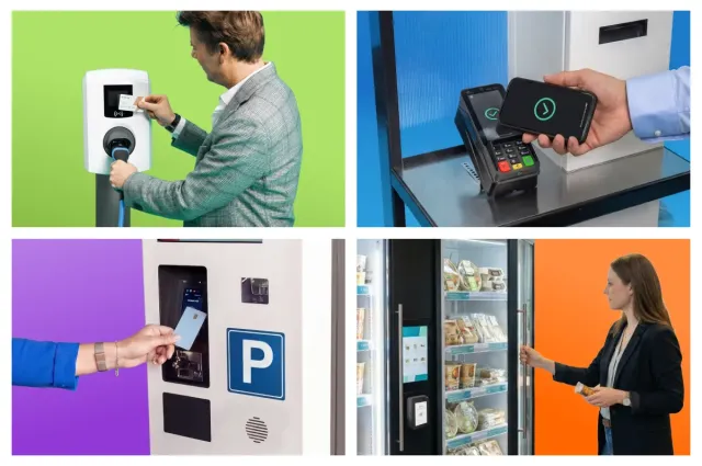 Grootzakelijk branches