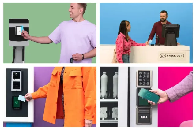 Grootzakelijk branches